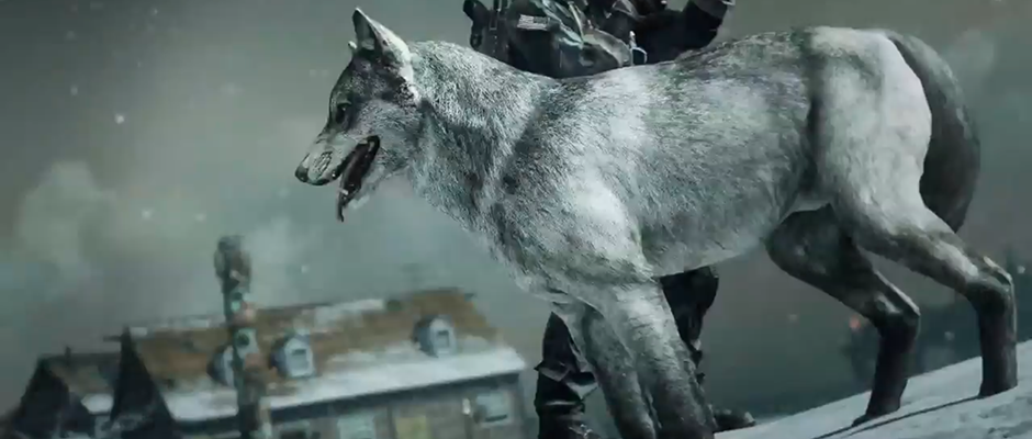 CoD-Wolf