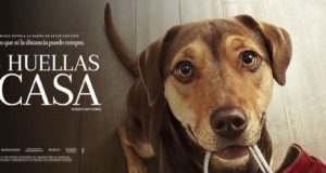 Mis Huellas a Casa