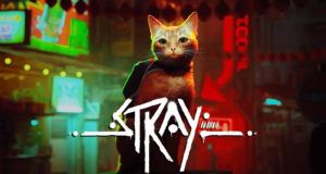 Stray