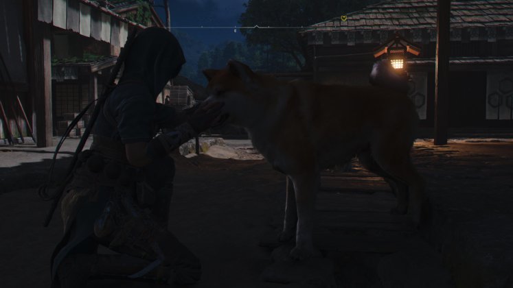 Assassin's Creed Shadows