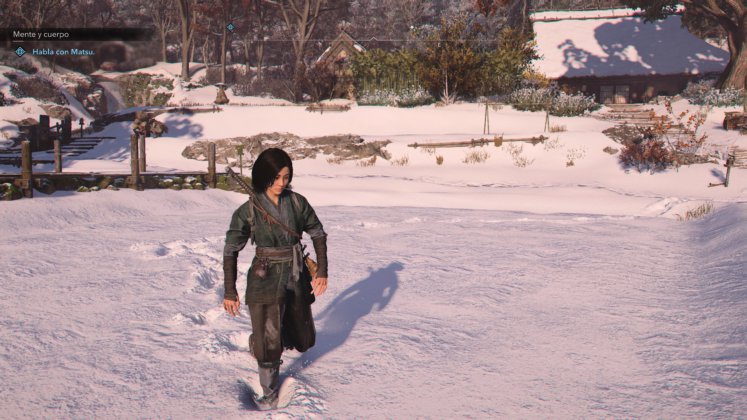 Assassin's Creed Shadows