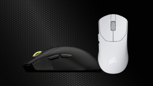 3a13f1e513564d0aa9b54906d6c500f6