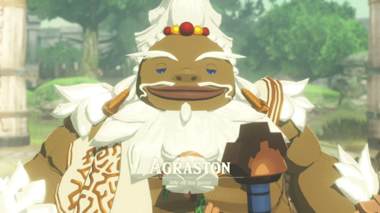 Hyrule Warriors: La Era del Destierro