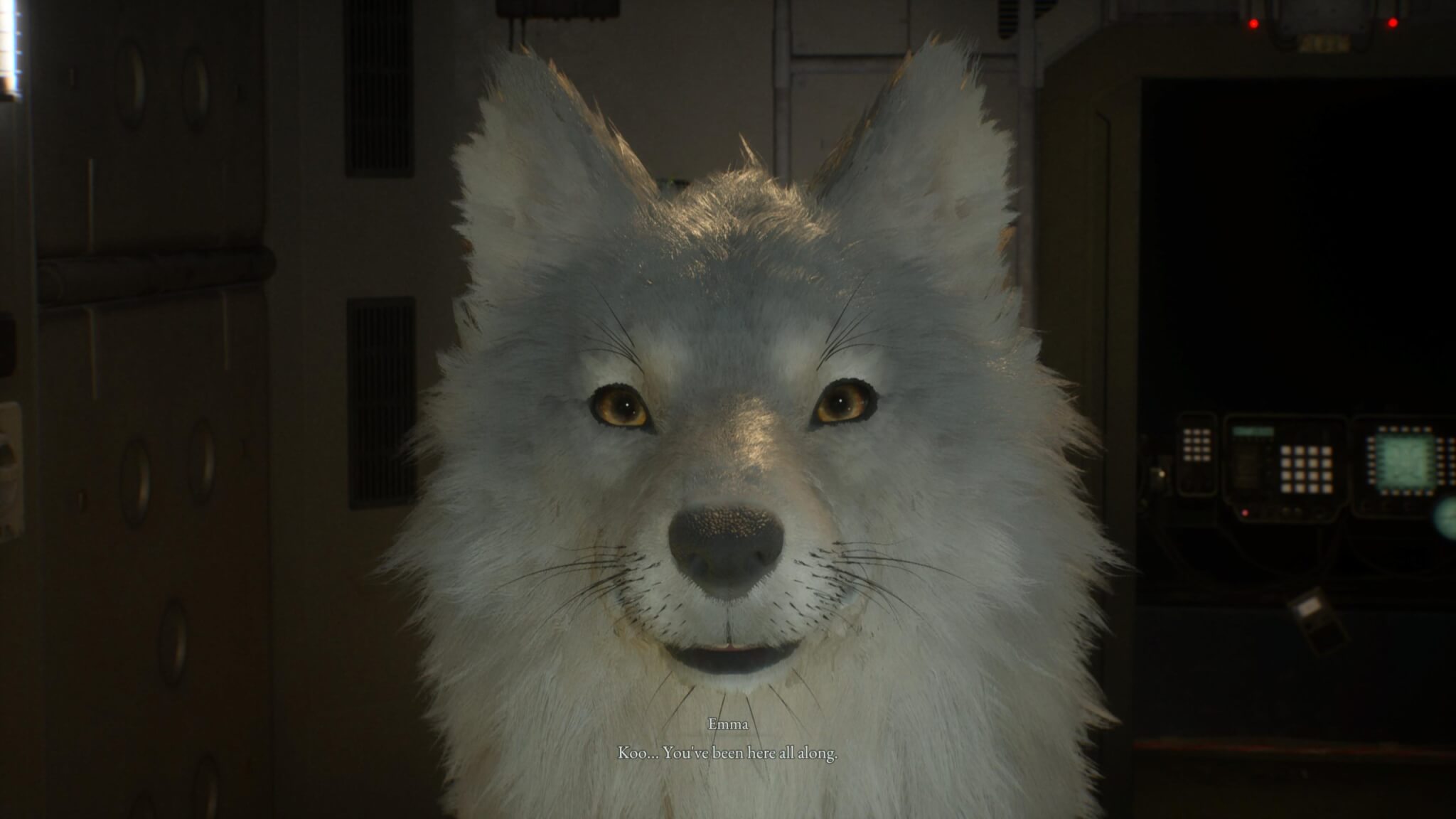 Beast of Reincarnation - Koo